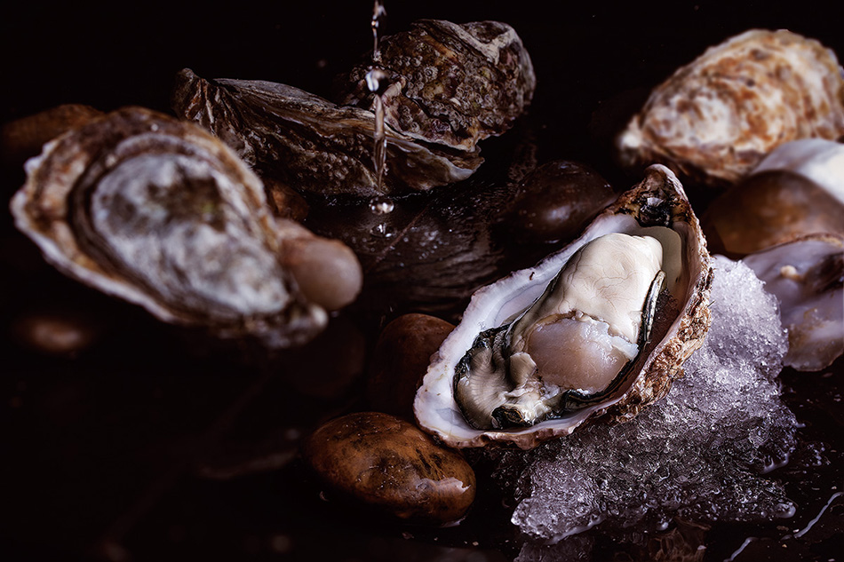 千歲融合，日本壽司+法式鐵板燒，北辰品牌設(shè)計(jì)