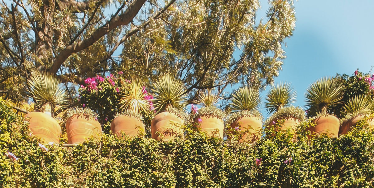 深圳品牌設(shè)計(jì) 深圳品牌設(shè)計(jì)