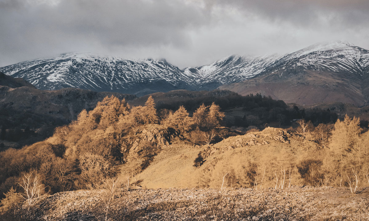 品牌策劃設(shè)計(jì)公司 品牌策劃設(shè)計(jì)公司