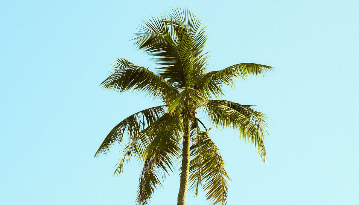 包裝設(shè)計公司 包裝設(shè)計公司