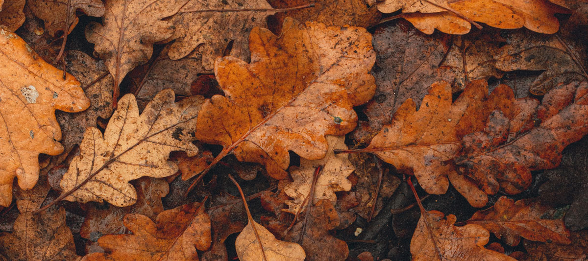 餐飲品牌形象設計公司 餐飲品牌形象設計公司