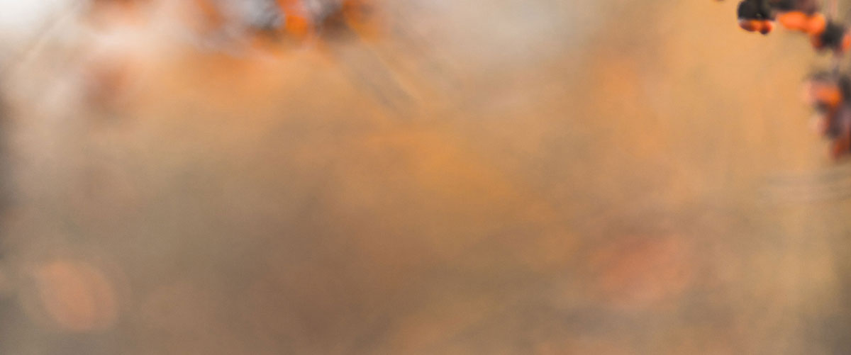 深圳包裝設(shè)計(jì)公司 深圳包裝設(shè)計(jì)公司