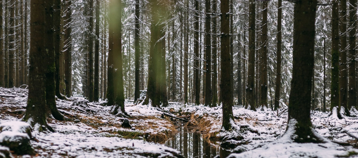 快消品包裝設(shè)計(jì)公司