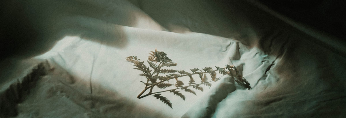 品牌設(shè)計公司 品牌設(shè)計公司