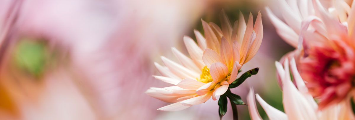 餐飲品牌形象設(shè)計(jì)公司 餐飲品牌形象設(shè)計(jì)公司