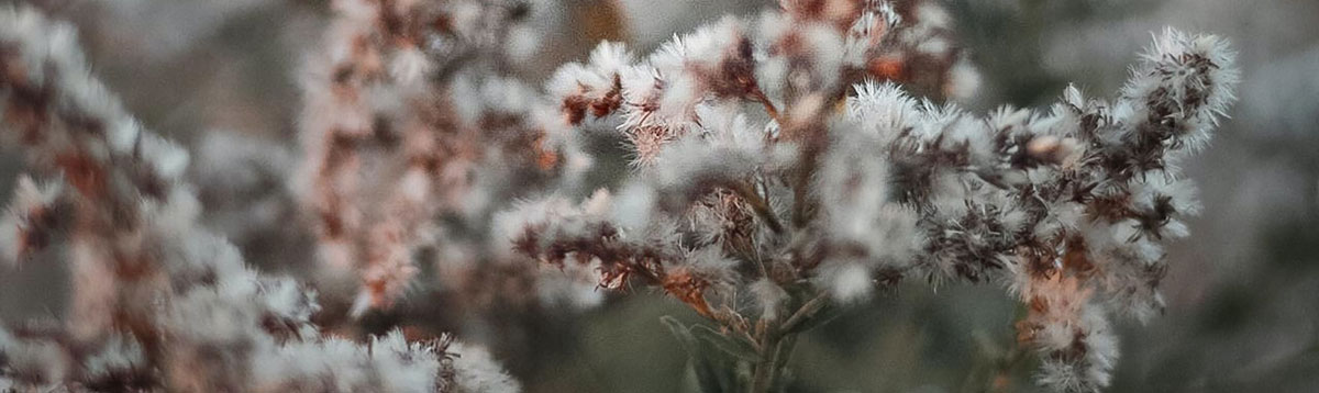 品牌策劃設(shè)計公司 品牌策劃設(shè)計公司