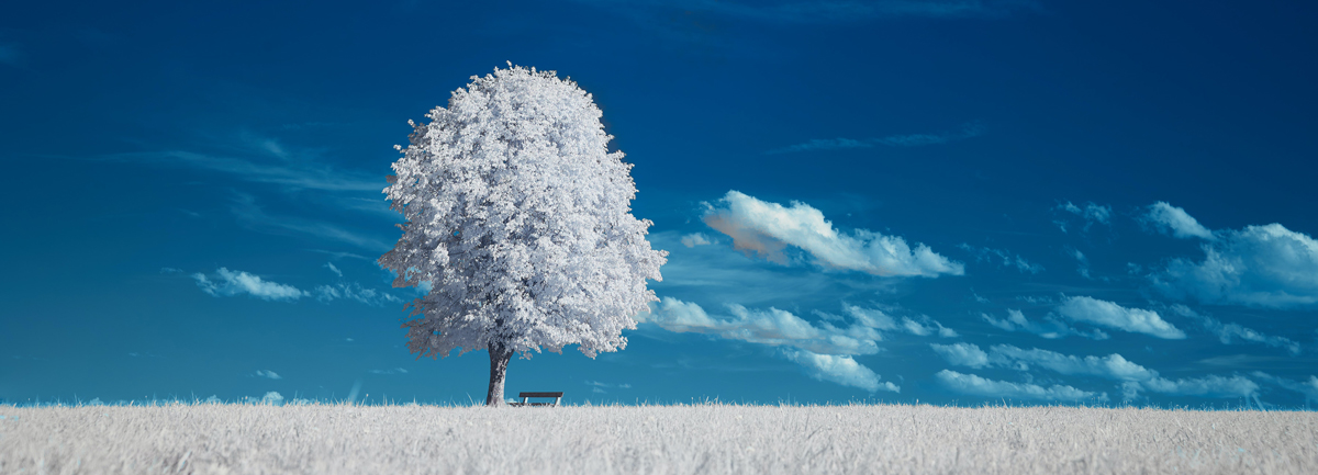 深圳品牌設(shè)計 深圳品牌設(shè)計