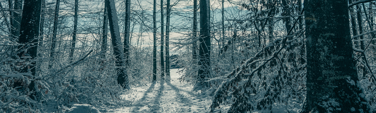 品牌策劃設(shè)計(jì)公司 品牌策劃設(shè)計(jì)公司