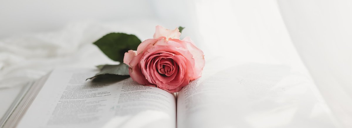 包裝設(shè)計公司 包裝設(shè)計公司