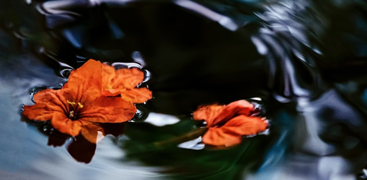 深圳包裝設(shè)計(jì) 深圳包裝設(shè)計(jì)