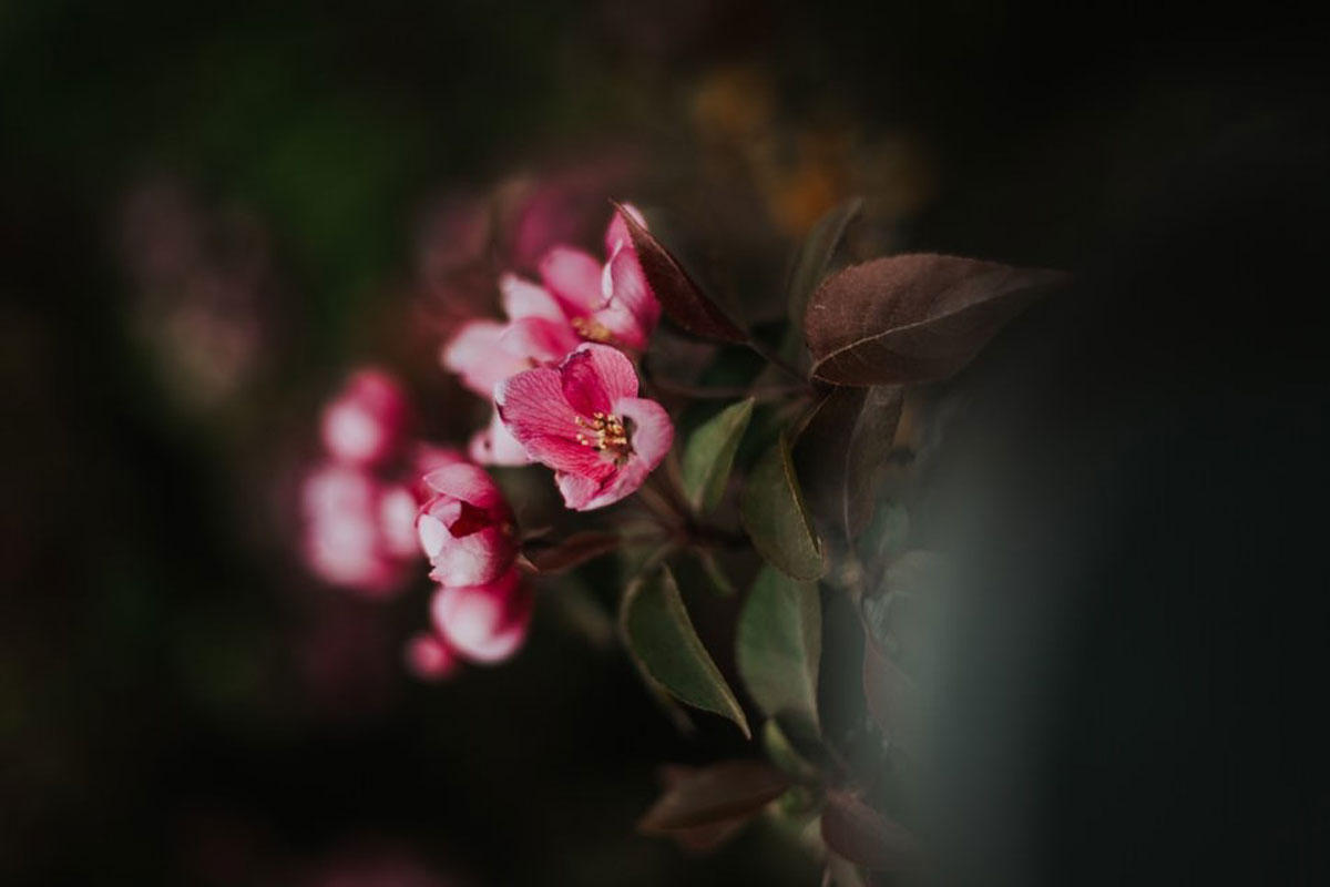 深圳平面設計公司 深圳平面設計公司