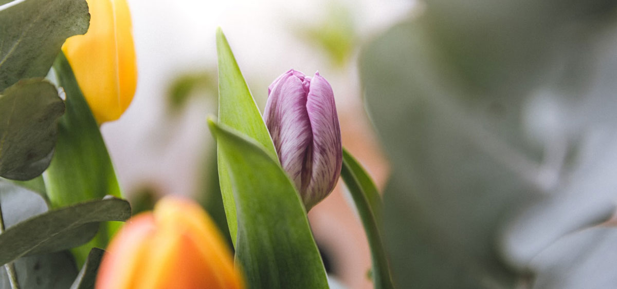 品牌全案設(shè)計(jì)公司 品牌全案設(shè)計(jì)公司